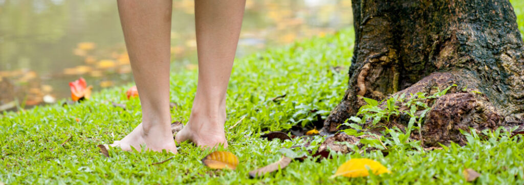 beautiful female legs on grass